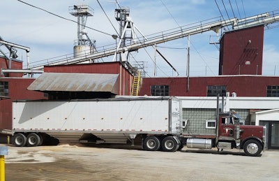 1983 peterbilt 359