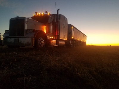 Harvest mornings