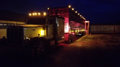 Pig haulin’