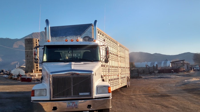 Early morning hauling