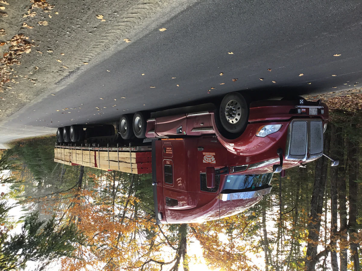 Drive in Fall Leaves | Overdrive