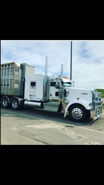 Screenshot 20181006 192213