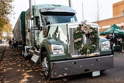 cap-tree-2-2018-11-15-14-03