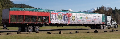 Cap Tree 3 2018 11 15 14 03