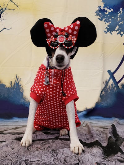 Received 1997018963707803