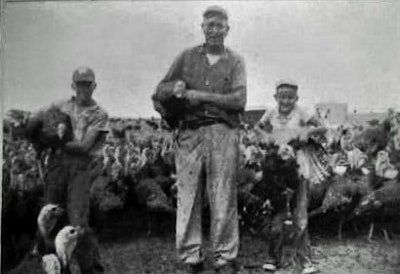 Bill Wilker, left, with his grandfather and brother Marty. As Bill puts it, “I said I would never stay on the farm. I still can’t figure out how to leave.”