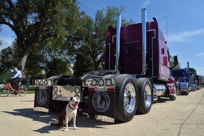 Budzik’s dog, Maja (that’s pronounced My-Yuh but “spelled the Polish way,” he says), was no doubt something of a hit for passersby at “That’s a Big 10-4 on D.C.” in October, where I met Budzik.