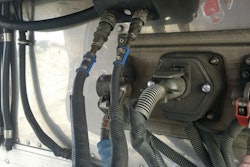 jaikes1-2019-02-13-14-29