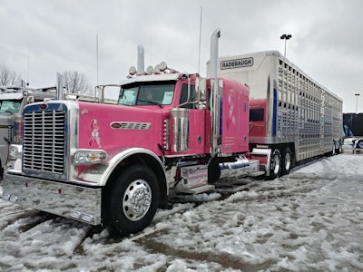 Pig hauler Pamela Cox drives this 2016 Peterbilt 389, named “Pinkie” because of its exterior and breast cancer awareness decals. She pulls a 2018 Wilson livestock trailer.