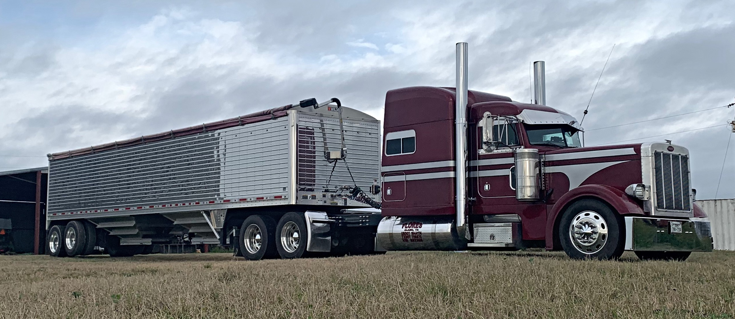 Cerda-2019-05-17-08-31