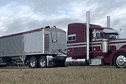 Cerda-2019-05-17-08-31