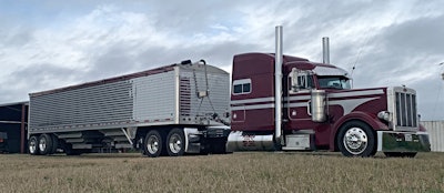 Cerda 2019 05 17 08 31