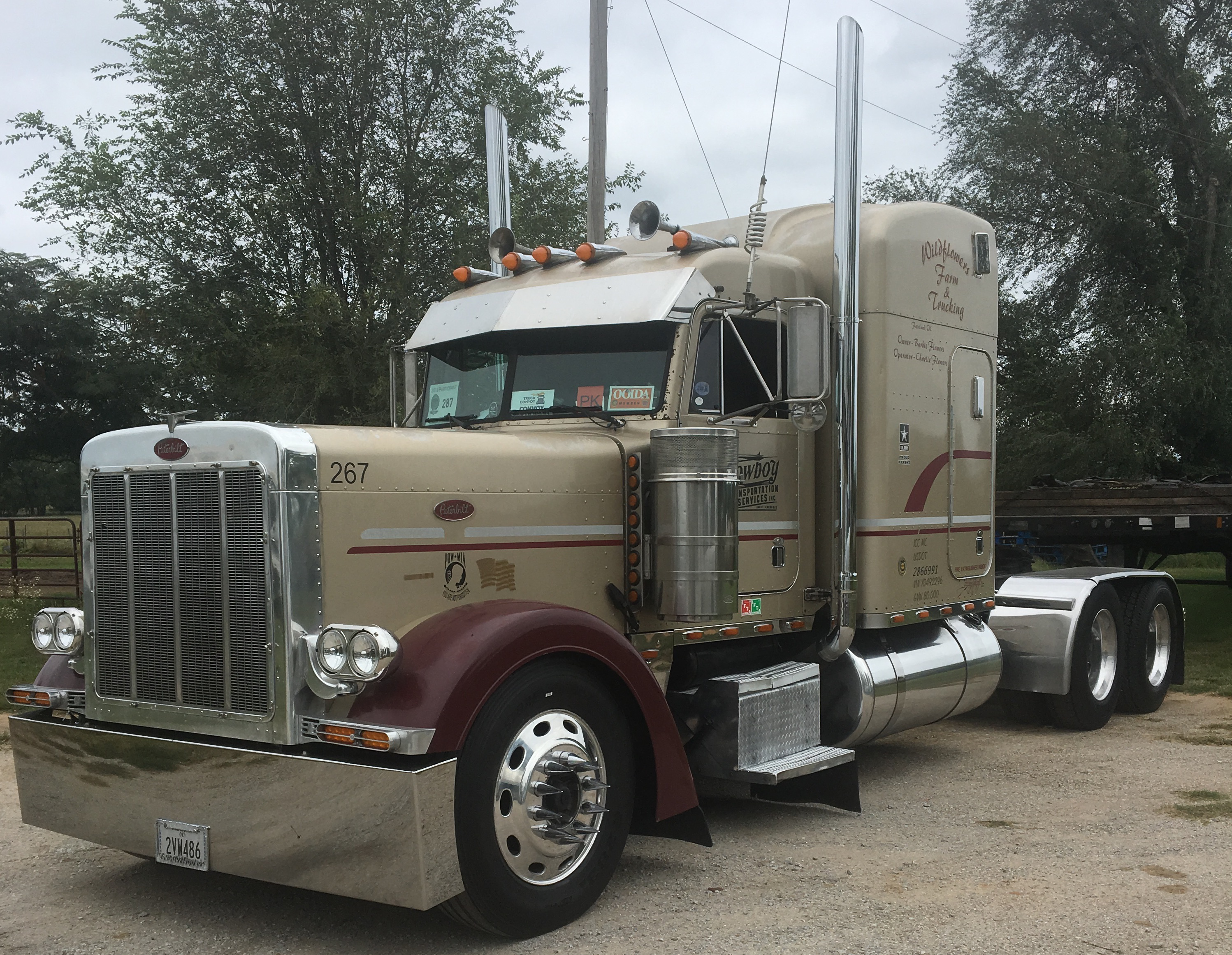 Flowers-2019-06-21-08-49