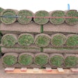 turfgrass-sod-tpi-2019-06-19-08-44