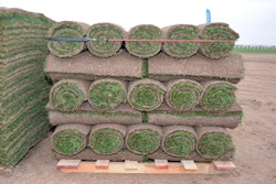 turfgrass-sod-tpi-2019-06-19-08-44