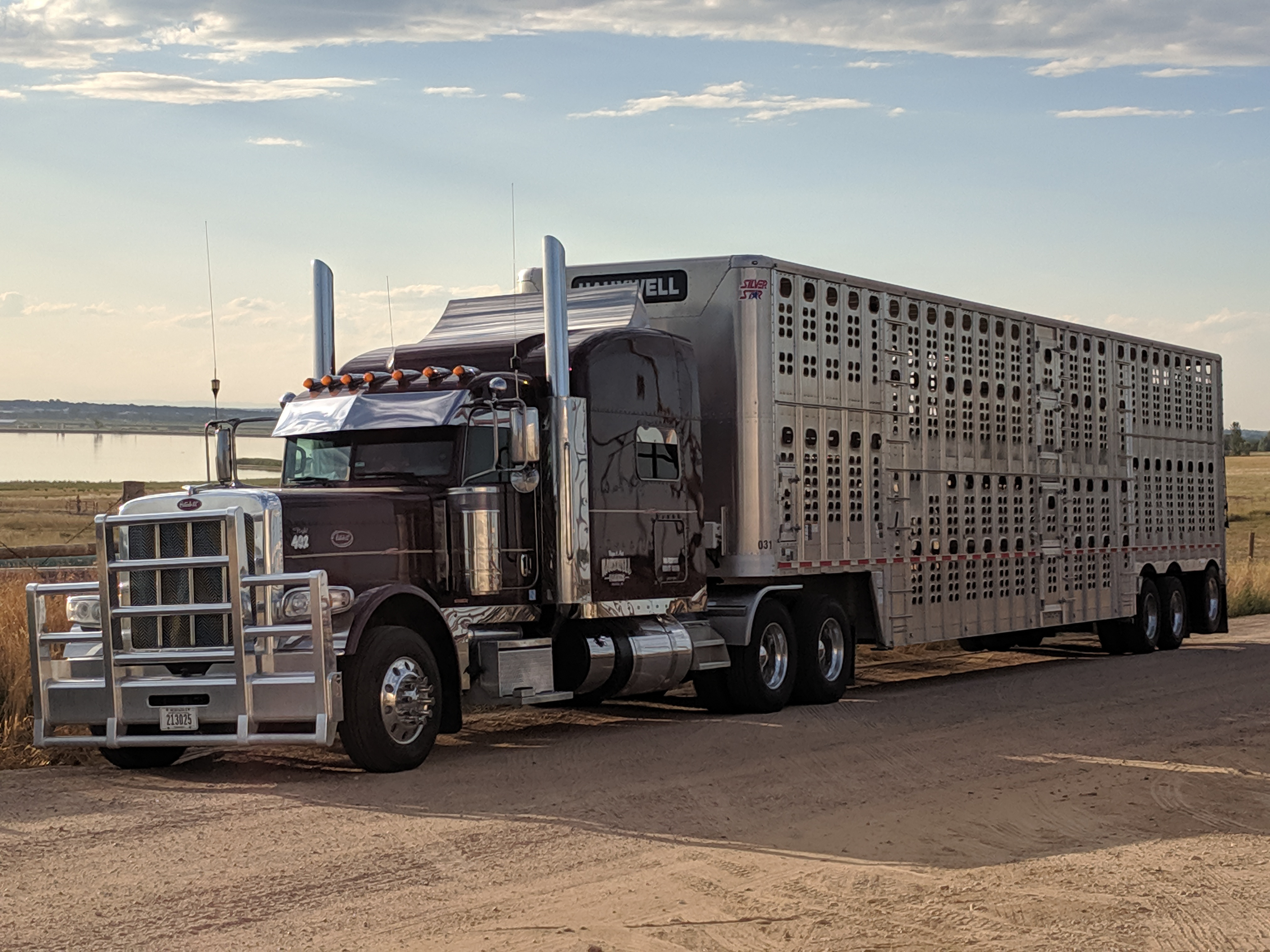 Hauxwell-2019-08-29-13-35