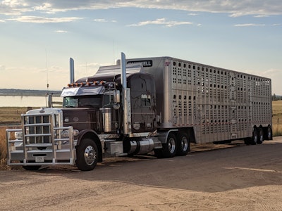 Hauxwell 2019 08 29 13 35