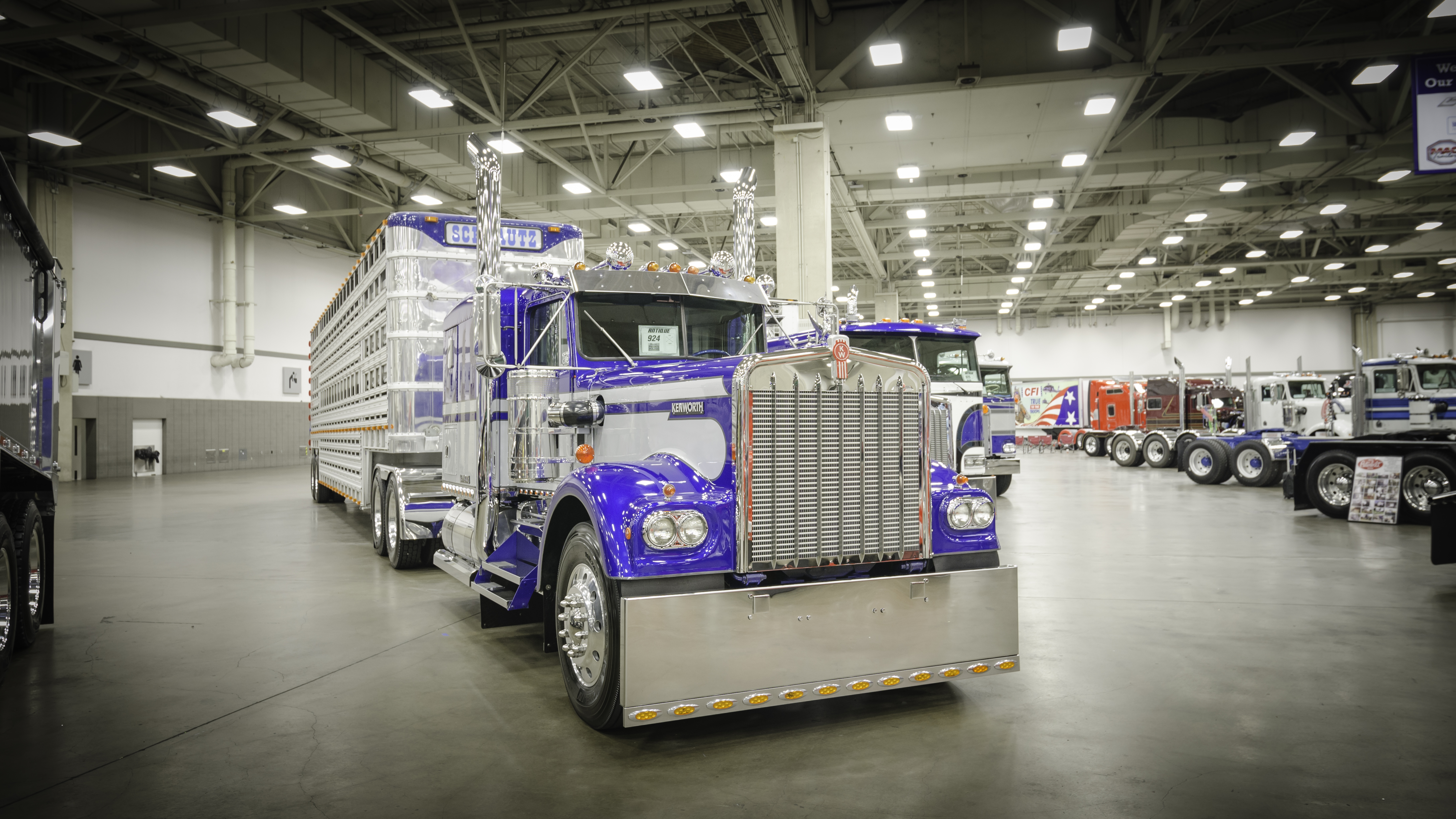 Schnautz-2019-08-09-10-10