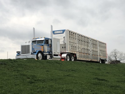 1 C1 B21 Ef B12 B 41 D0 B51 E 507220948 A24