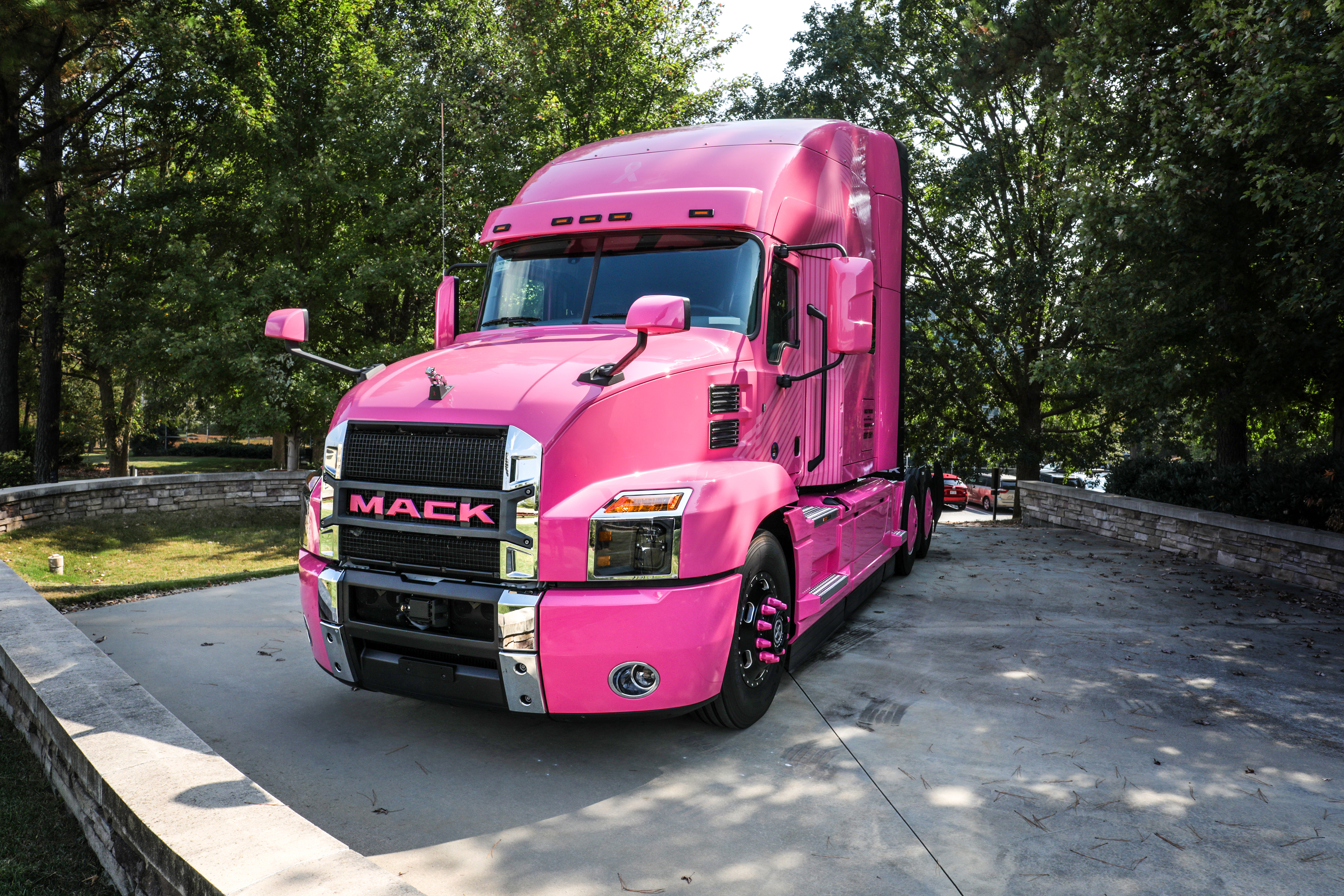 pink-mack-anthem-1-2019-10-04-09-37