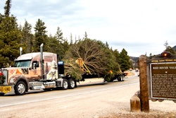 2019-capitol-christmastree-2019-11-15-08-10