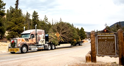 2019 Capitol Christmastree 2019 11 15 08 10