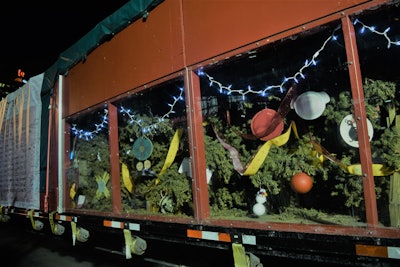 Top Of Tree 2019 11 22 08 52