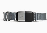 fi-gps-collar-200&times;140-2019-12-16-13-30