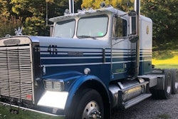 Swallop-2020-01-03-08-43