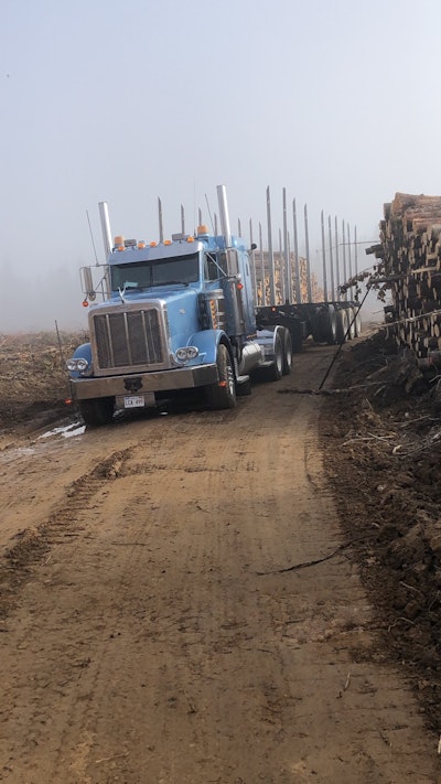 90091496 0 E5 B 4194 80 B0 2 D2 Dbff648 Dd