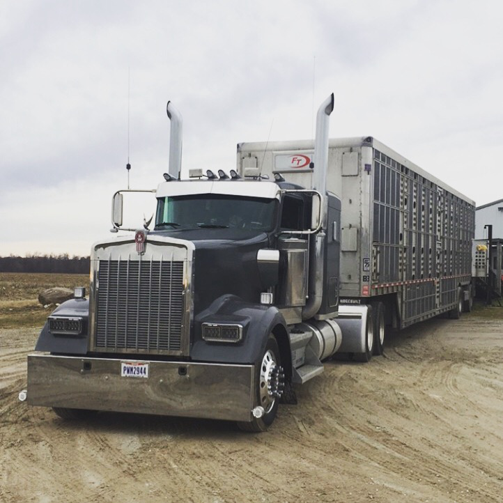 Bone-2020-04-03-09-23