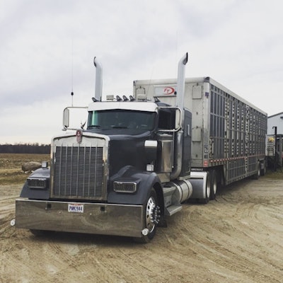 Bone 2020 04 03 09 23 1