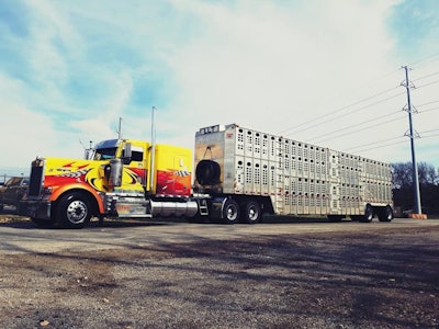 Blackburn Baxter 2 2020 07 31 06 53