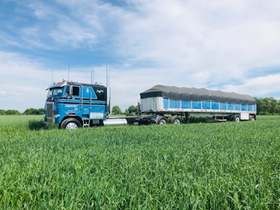 Cadle 2020 07 30 16 48 Scaled