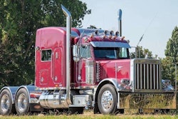 Berkmortel-2020-09-04-08-27