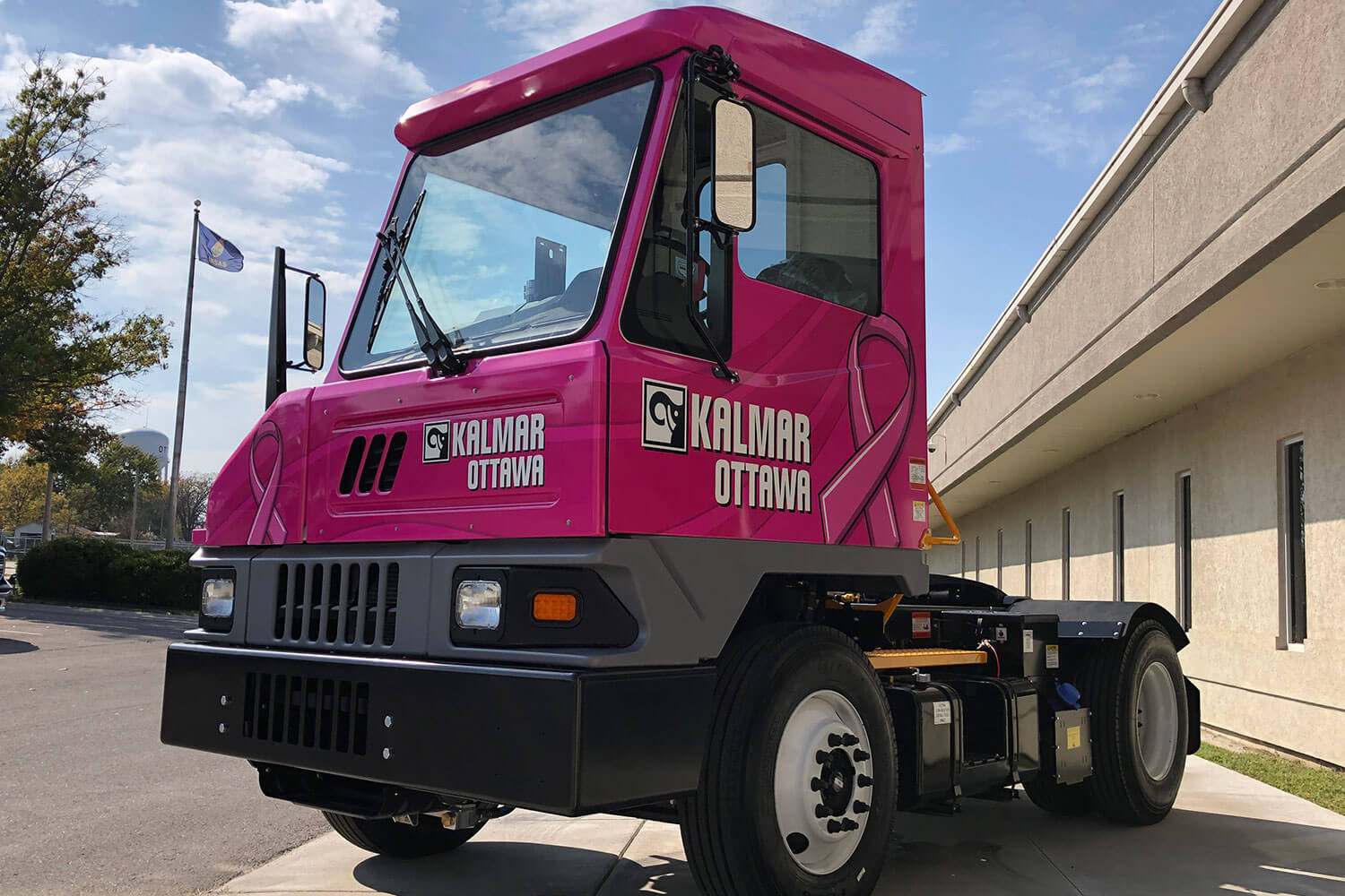 TCI-Pink-Yard-Spotter-2020-11-24-12-28