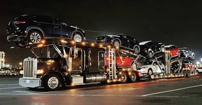 Wilsonjpg 2020 11 10 09 23 Scaled