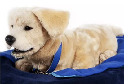 Screen Shot 2020 12 17 At 1 32 09 Pm 2020 12 17 13 33