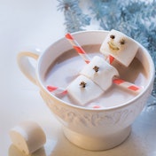 Screen Shot 2021-01-04 at 8.20.39 AM-2021-01-04-08-21