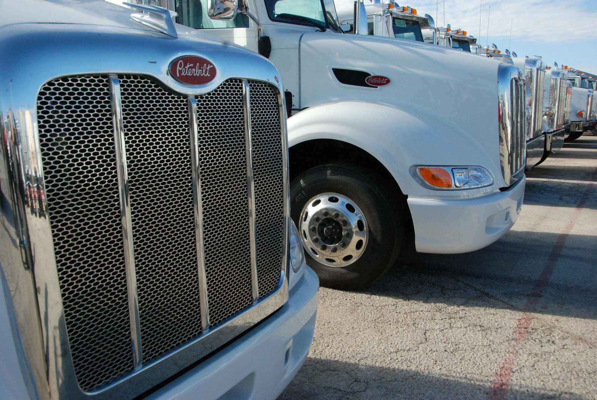 Truck Lot 2019 11 25 11 17