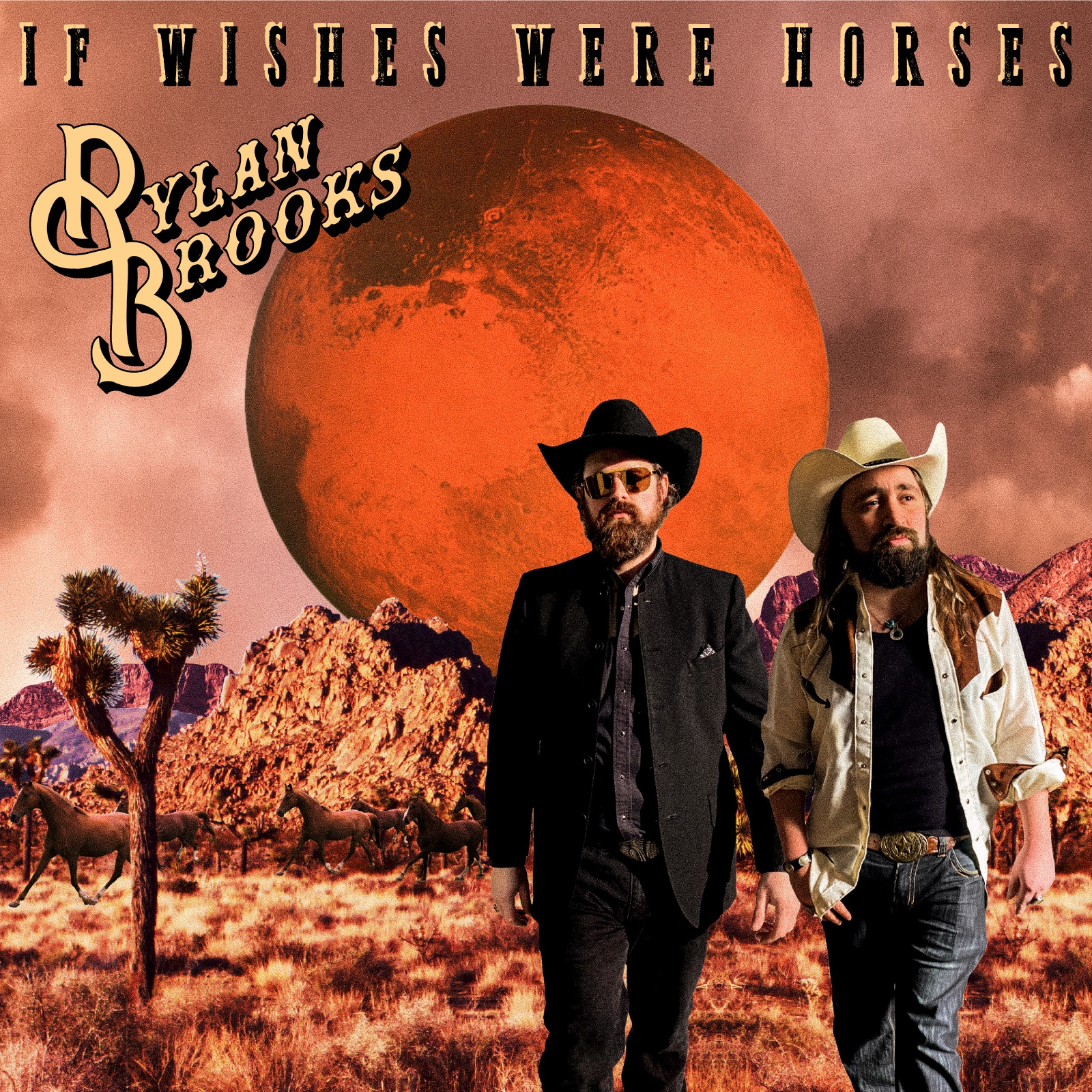 Rylan Brooks album cover for If Wishes Were Horses