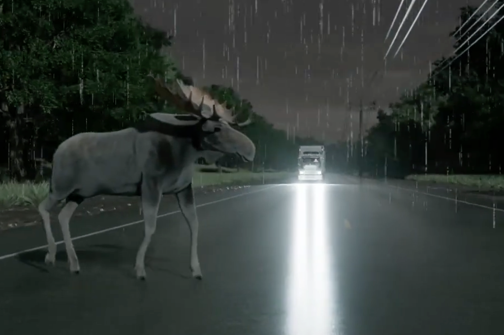 animated moose crossing road