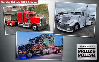 pride and polish working bobtail 2009-newer finalists