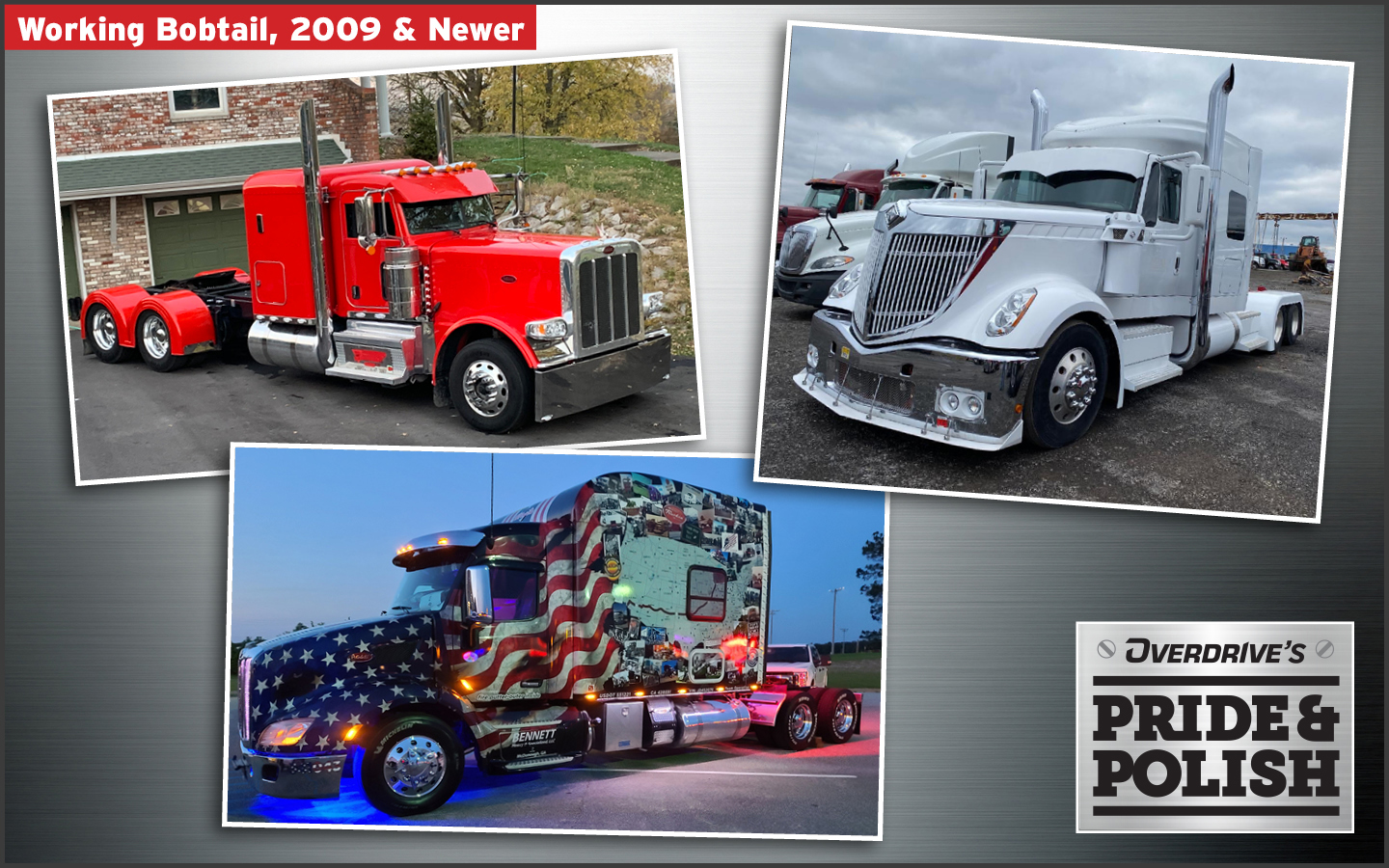 pride and polish working bobtail 2009-newer finalists