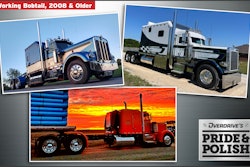 pride and polish working bobtail 2008-older finalists