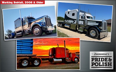 pride and polish working bobtail 2008-older finalists