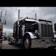 1982 peterbilt 359