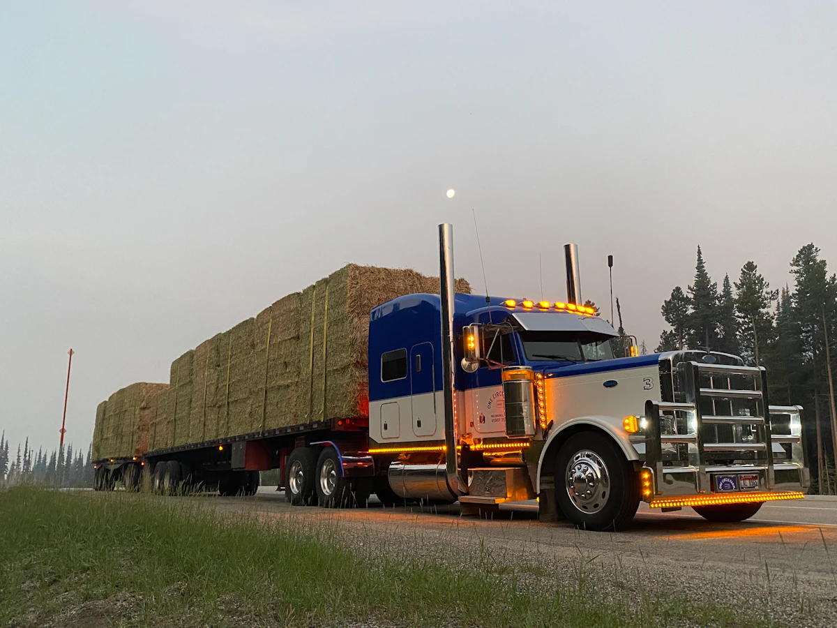 Gary Mackay's 1998 Peterbilt 379 - Vimarsana News