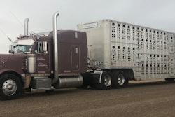 Jason Matthews' 1998 Peterbilt 379EXHD