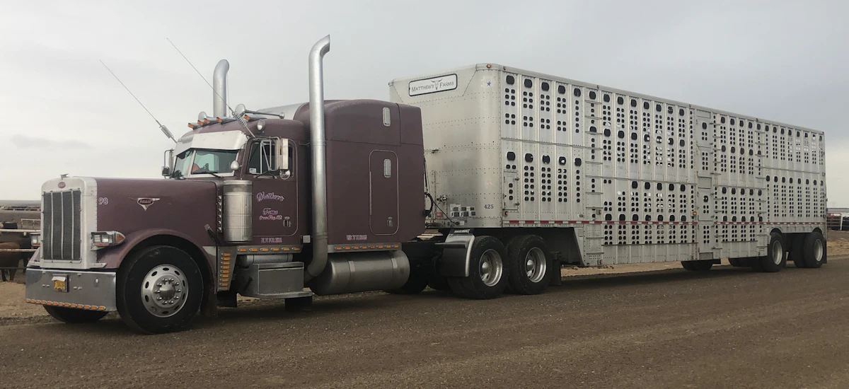 Jason Matthews' 1998 Peterbilt 379EXHD - Vimarsana News